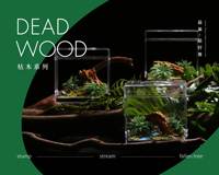 Sarang Semut Akrilik Transparan Mini Persegi Panjang dengan Tutup Atas, Tahan Air, Mudah Dibersihkan, Tanpa Perakitan, Model Hutan Deadwood