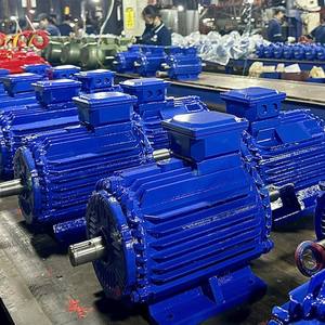 Motor Eléctrico Trifásico TOAN PHAT 380V 50Hz 60Hz AC, Carcasa de Aluminio, Núcleo de Cobre, 14-25kg - Product Image 3