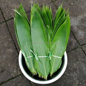 100% feuilles de bambou séchées au soleil naturelles grande taille 9cm + prix compétitif pour la fabrication de gâteaux directement du Vietnam - Product Image 1