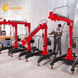 Minigrúa Hidráulica Eléctrica de Piso con Capacidad de Carga de 800 kg y Momento de Elevación Nominal de 1.60 t.m - Product Image 1