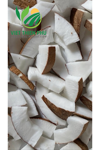 Cubos de Carne de Coco Madura Congelada IQF, Exportación a Granel desde Vietnam - Product Image 4