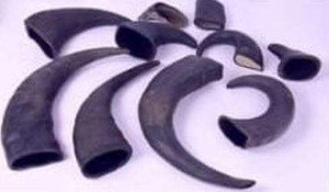 Masticables de Cuerno Natural Premium para Perros, Juguete Resistente para Entrenamiento, Empacado en Caja - Product Image 3