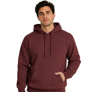 Vente en gros de sweats à capuche unisexes en molleton épais d'automne, coupe oversize, 100% coton de haute qualité, vierges pour impression de logo personnalisée - Product Image 1
