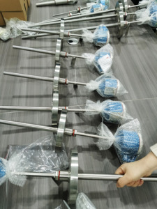 인기 추천 <200mm PT100/PT1000 RTD 센서 고정밀 온도 프로브 IP65 OEM 맞춤형 - Product Image 1