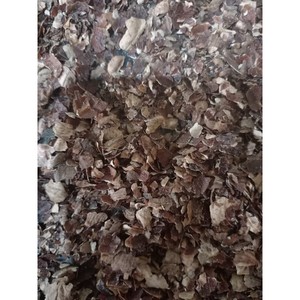 GIA NGUYEN Venta al por Mayor de Polvo de Cáscara de Anacardo y Cáscara de Arroz, Aditivos para Alimentos Listos para Cargar, Origen Vietnam, Entrega en una Semana - Product Image 1