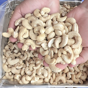 Hot Sale Vietnam Cashew <b>Nuts</b> Wholesale Ww180, Ww240 Wholesale Roasted Cashew <b>Nuts</b> Reasonable Price - Product Image 1