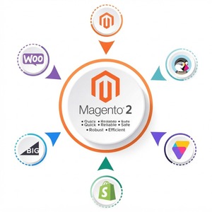 โซลูชันอีคอมเมิร์ซระดับองค์กร Pro Ultimate Magento Store ที่ช่วยเพิ่มศักยภาพการเติบโตที่ยืดหยุ่นและสร้างหน้าร้านดิจิทัลระดับพรีเมียม - Product Image 4