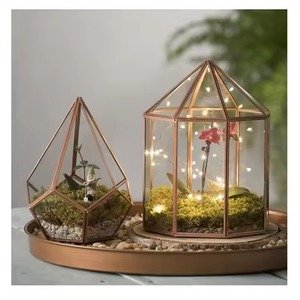 Terrarium en verre moderne de luxe artistique, pot de fleurs en métal, vase de table, support décoratif pour plantes d'intérieur, décoration élégante pour la maison, Diwali - Product Image 4