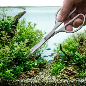 Ciseaux d'aquarium Aqua Scissors 6,5 pouces en acier inoxydable, fourniture d'usine - Product Image 1