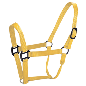 Cabestro de Nailon Ajustable de Alta Calidad Profesional para Equitación, Personalizable, Disponible en Todos los Colores y Tamaños, Productos para Montar a Caballo - Product Image 4