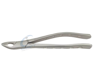 Pinzas de Extracción Dental de Acero Inoxidable con Empuñadura Moleteada, Instrumento Quirúrgico Manual Clase I, Plateado - Product Image 6