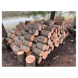 Venta al por Mayor de Troncos Redondos de Madera de Pino de Alta Calidad Personalizados, 25 cm y 33 cm de Diámetro, Venta Directa de Fábrica para el Mercado Mundial - Product Image 5