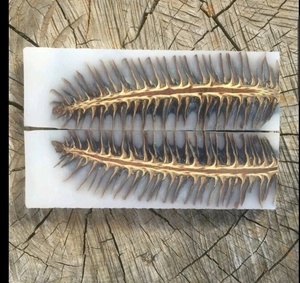 Cuchillo de caza y camping de acero de Damasco con mango de resina epoxi, hoja recta de punta caída, con personalización OEM ODM, madera de palisandro, EE. UU. - Product Image 3