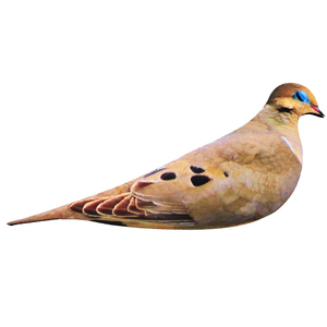 Leurre réaliste de colombe en PP pour la chasse en extérieur, simulation de silhouette de pigeon pleine grandeur - Product Image 5