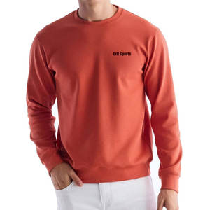 Sweat-shirt pour homme, durable, très vendu, design de logo personnalisé, prix bas, vêtements d'hiver - Product Image 1