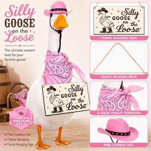 Décoration de porche : Chapeau de cowboy rose, bandana à motif paisley, panneau « Silly Goose », statue de jardin - Product Image 5