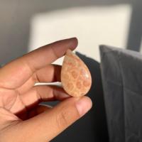 Cabochon de corail naturel indonésien 3-5 cm Pierre naturelle polie pour la fabrication de bijoux et l'artisanat