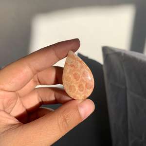 หินปะการังธรรมชาติจากอินโดนีเซีย ขนาด 3-5 ซม. ขัดเงาธรรมชาติ สำหรับทำเครื่องประดับและงานฝีมือ - Product Image 4