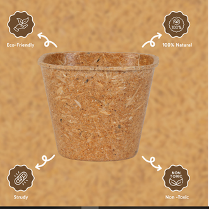 Biodegradable Rice Husk <b>Cups</b> 4oz Natural Fiber <b>Cups</b> Safe Reliable Suitable for Beverage Packaging - Product Image 2