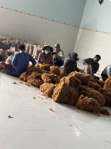 Algues marines - Algues marines de la meilleure qualité Eucheuma Cottonii Seamos Jamaïque Irishmoss en provenance de la mer de Ninh Thuan au Vietnam /Serena - Product Image 3