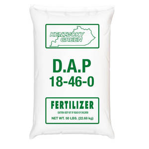 Quick Release DAP Hydrogen Molecule Fertilizer in Powder State - Product Image 4