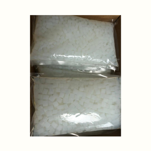 Nata de Coco en Sirop : Vente en Gros à Prix Compétitif – Cubes de Gelée Tropicale en Sirop pour Cocktails – Disponible Mondialement - Product Image 1