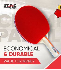 Raqueta de Tenis de Mesa para Principiantes, de Super Calidad, para Práctica y Entrenamiento Diario, al Mejor Precio - Product Image 3