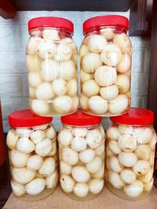 Berenjenas encurtidas blancas naturales, dulces y ácidas, en vinagre transparente, comida tradicional vietnamita, frasco de vidrio de 800g - Product Image 6
