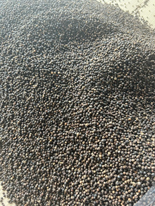 Poivre noir du Vietnam en granulés mélangés Vilconic Pinhead 1 mm, épice unique, durée de conservation de 2 ans - Product Image 6
