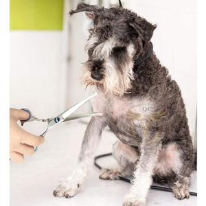 7.5\" Curved Professional Pet Grooming Shears Lightweight Stainless Steel Dog Cat <b>Scissors</b> - Product Image 6