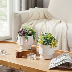Vasi in Ceramica Bianca per Arredamento Casa, Piante Succulente Artificiali Assortite, Piante Finte per Camera da Letto e Scrivania Ufficio - Product Image 2