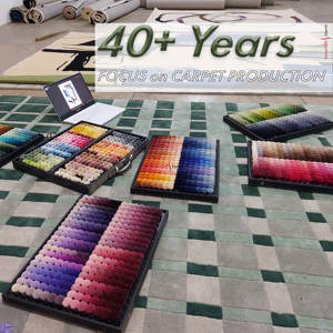 Hot Selling Premium Quality Bhadohi Rugs Hand <b>Tufted</b> Wool High Pile Anti Slip Carpet Living Room Center Anti-slip Moquette - Product Image 6