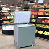 Appareils ménagers à température unique AC 220V Porte simple électrique avec lumière LED et thermostat mécanique R600A Réfrigérant