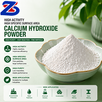 Hydroxyde de calcium en poudre à surface BET élevée, chaux hydratée active pour le traitement des gaz de combustion et la purification industrielle