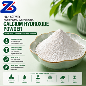 Poudre d'hydroxyde de calcium activée premium à forte surface BET pour le traitement des gaz de combustion - Product Image 1