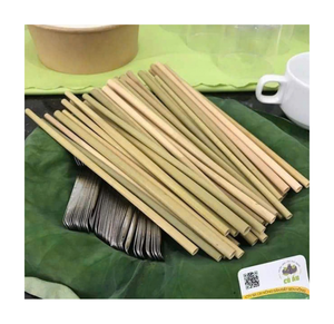 Pajitas de Bambú Naturales Reutilizables, Ecológicas, para Café, Paquete de 10, Estilo Simple - Product Image 1