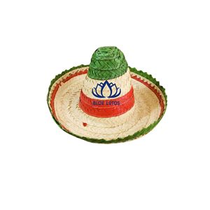 BEST-SELLER Chapeau mexicain unisexe unique fait main en calebasse durable |   Accessoire de costume Perfect Slay pour des occasions amusantes et créatives - Product Image 1