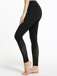 Leggings de sport sans couture taille haute élastiques grande taille pour femmes Haus Industries - Product Image 5