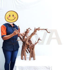 Decoración Ecológica para Acuarios y Terrarios Java: Madera para Arañas, Tamaño Mediano - Product Image 4
