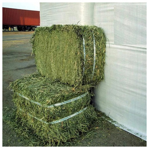 Alfalfa Hay for worldwide distribution bulk animal feed product for agricultural importers and exporters - Product Image 2