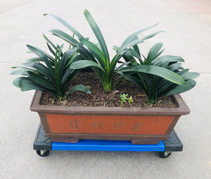 Chariot à roulettes en polypropylène OEM 1000 lb, plateforme lisse, chariots élévateurs faciles à manœuvrer dans toutes les directions, légers et haute capacité - Product Image 6