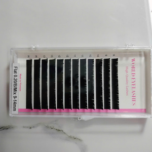 Extensiones de Pestañas Individuales de Marca Privada, Curvatura B CC C D M L, Bandejas Clásicas, Negro Mate, Terciopelo, Visón Sintético, Cachemira Suave, Vendo - Product Image 2