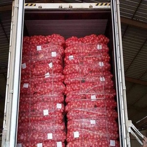 Oignons Rouges Biologiques Frais de Qualité Supérieure, Légumes Liliacés, 10cm, Boîte de 500kg, Fourniture pour l'Industrie Alimentaire, Ferme du Gujarat, États-Unis - Product Image 4