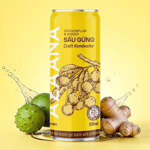 Té de Dracontomelón al por Mayor, Bebida Estilo Kombucha, OEM, Logotipo Personalizado, Bebida Funcional Saludable a Granel - Product Image 1