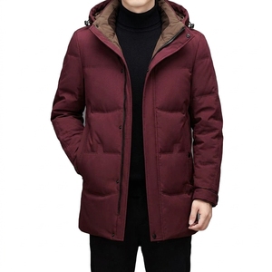 Veste d'hiver décontractée pour homme, rembourrée, à capuche, fermeture éclair sur le devant, chaude, vêtement d'extérieur personnalisé et tendance - Product Image 5