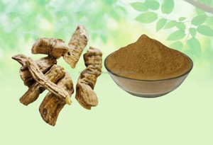 Operculina Turpethum Turpeeth Polvo blanco Nishoth Safed Polvo Trivrit Turbud White Turbad Hierbas crudas Extracto de plantas al por mayor - Product Image 2