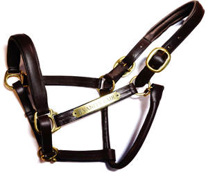 Cabestro de cuero personalizado de larga duración y acabado fino, color y tamaño personalizados, cabestro para caballo, brida hackamore para caballo - Product Image 1