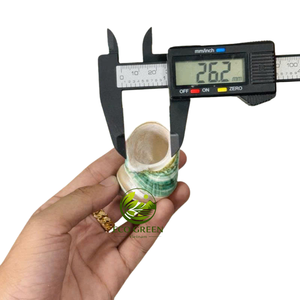เปลือกหอยธรรมชาติคุณภาพพรีเมียมขัดเงาสำหรับตกแต่งตู้ปลา งานฝีมือ DIY และการตกแต่งภายในสไตล์ชายฝั่ง - Product Image 4