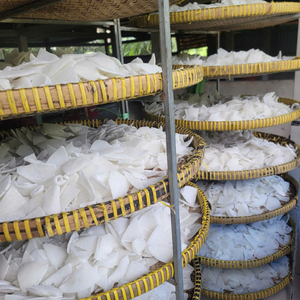 Auténtica Pulpa de Coco Congelada IQF de Vietnam para Uso Alimentario, Rellenos de Pastelería Profesional y Elaboración de Dulces 99 Gold Data - Product Image 5