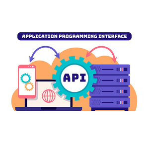 Desarrollo de API Personalizado y Servicio de Integración, Soluciones de Conexión de Aplicaciones, Conectividad de Aplicaciones Web - Product Image 1